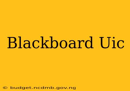 Blackboard Uic