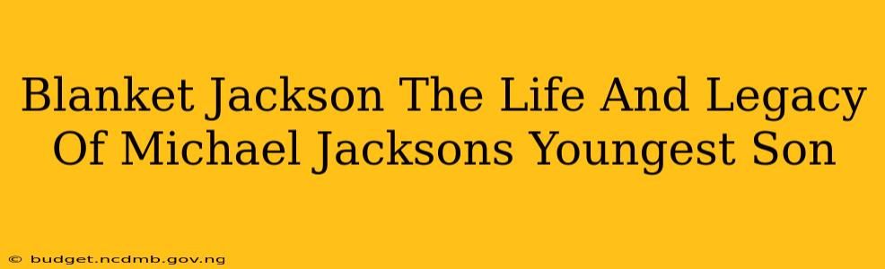Blanket Jackson The Life And Legacy Of Michael Jacksons Youngest Son