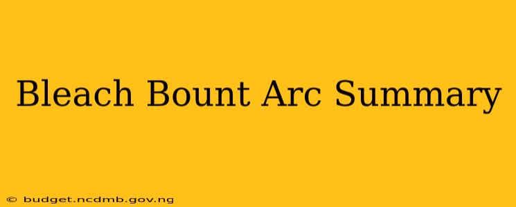 Bleach Bount Arc Summary