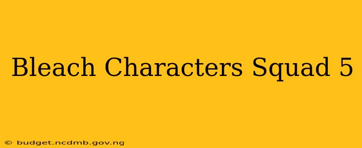Bleach Characters Squad 5