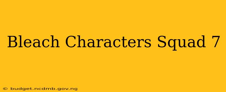 Bleach Characters Squad 7
