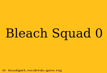 Bleach Squad 0