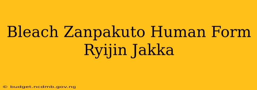 Bleach Zanpakuto Human Form Ryijin Jakka