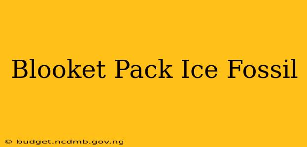 Blooket Pack Ice Fossil