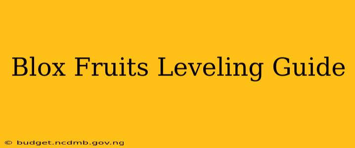 Blox Fruits Leveling Guide