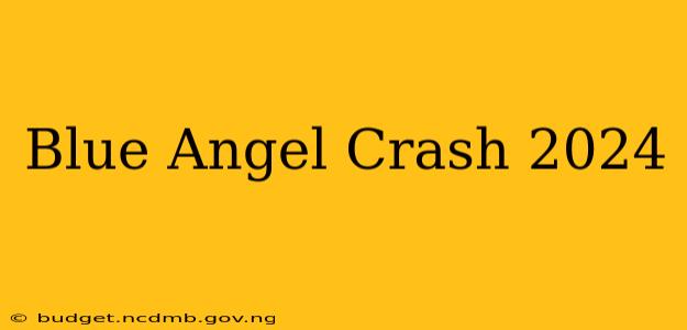 Blue Angel Crash 2024