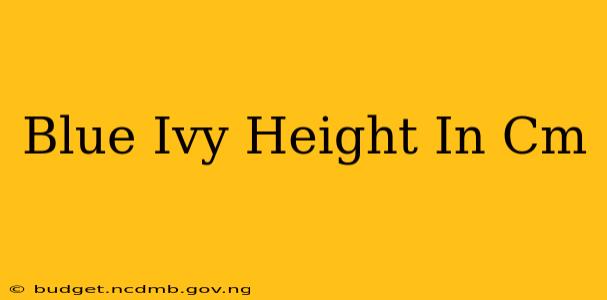 Blue Ivy Height In Cm
