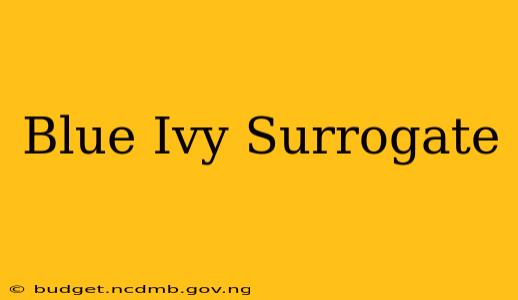 Blue Ivy Surrogate