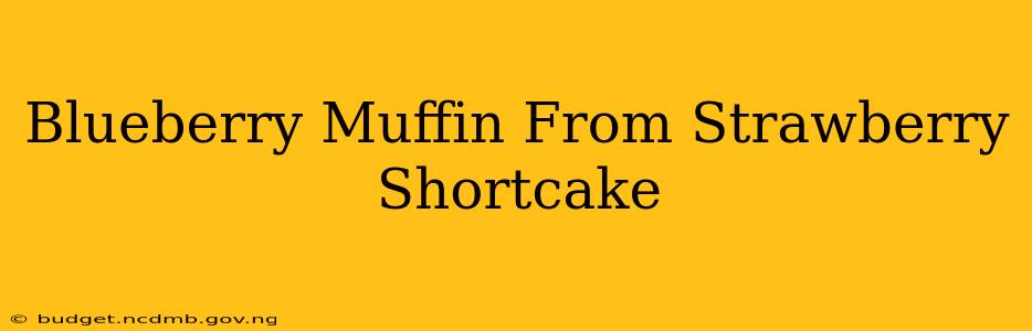Blueberry Muffin From Strawberry Shortcake