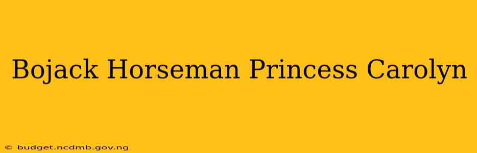 Bojack Horseman Princess Carolyn
