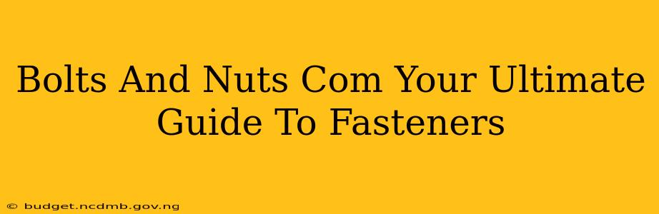 Bolts And Nuts Com Your Ultimate Guide To Fasteners