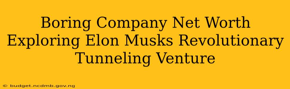 Boring Company Net Worth Exploring Elon Musks Revolutionary Tunneling Venture