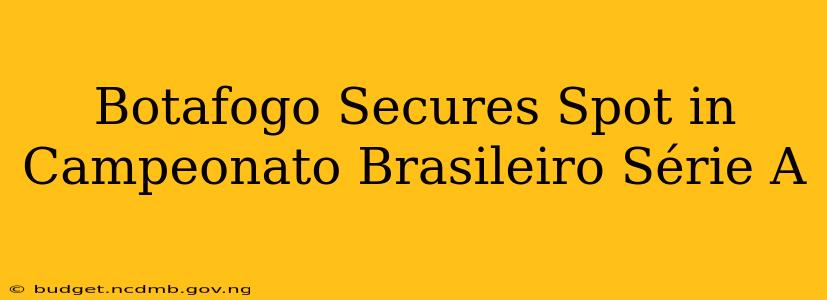 Botafogo Secures Spot in Campeonato Brasileiro Série A