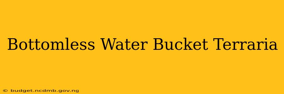 Bottomless Water Bucket Terraria