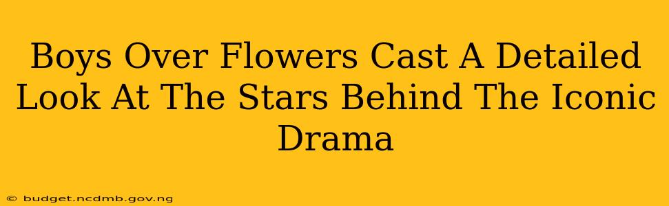 Boys Over Flowers Cast A Detailed Look At The Stars Behind The Iconic Drama