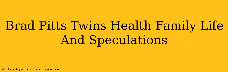 Brad Pitts Twins Health Family Life And Speculations