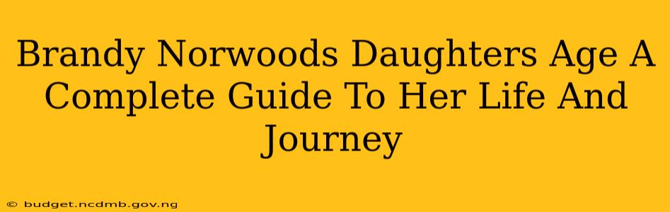 Brandy Norwoods Daughters Age A Complete Guide To Her Life And Journey