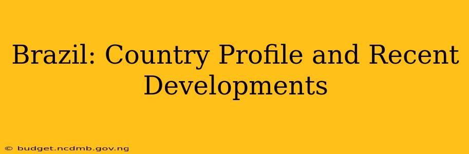 Brazil: Country Profile and Recent Developments