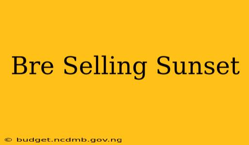 Bre Selling Sunset