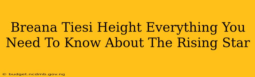 Breana Tiesi Height Everything You Need To Know About The Rising Star