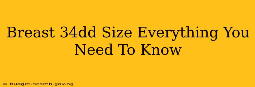 Breast 34dd Size Everything You Need To Know