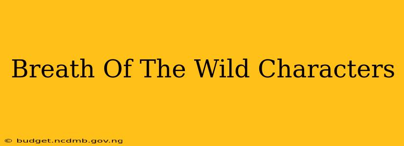 Breath Of The Wild Characters