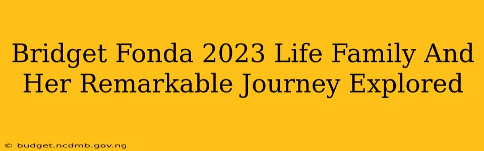 Bridget Fonda 2023 Life Family And Her Remarkable Journey Explored