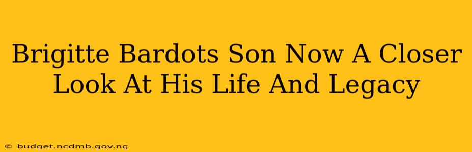 Brigitte Bardots Son Now A Closer Look At His Life And Legacy
