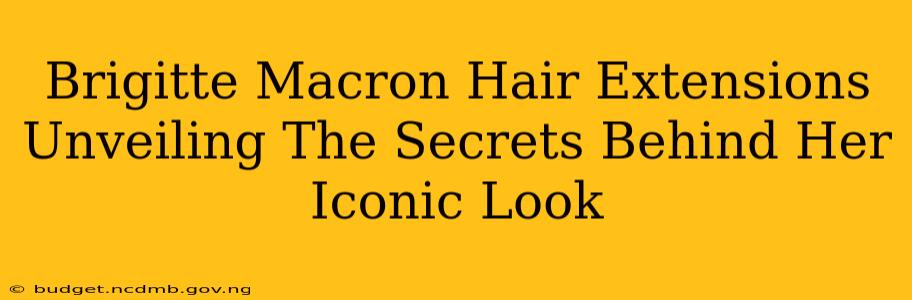 Brigitte Macron Hair Extensions Unveiling The Secrets Behind Her Iconic Look