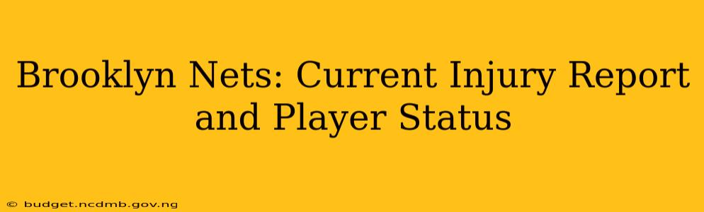 Brooklyn Nets: Current Injury Report and Player Status