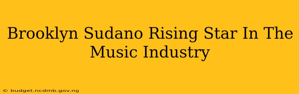 Brooklyn Sudano Rising Star In The Music Industry