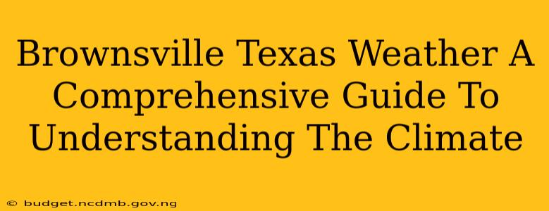 Brownsville Texas Weather A Comprehensive Guide To Understanding The Climate
