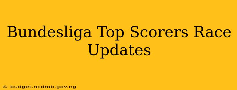 Bundesliga Top Scorers Race Updates