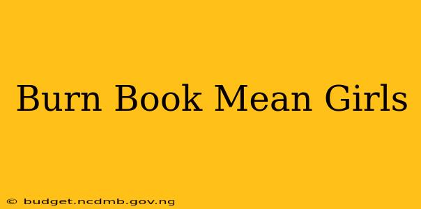 Burn Book Mean Girls