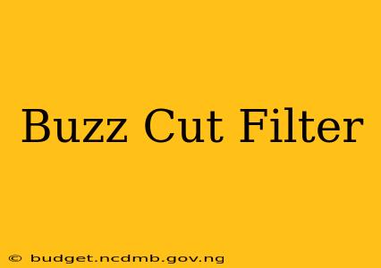 Buzz Cut Filter