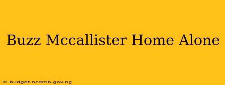 Buzz Mccallister Home Alone