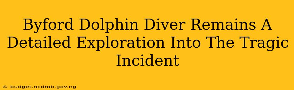 Byford Dolphin Diver Remains A Detailed Exploration Into The Tragic Incident