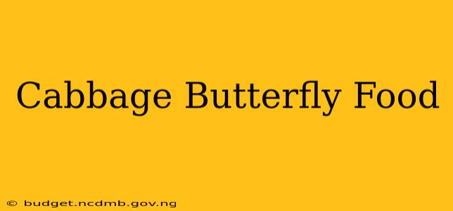 Cabbage Butterfly Food