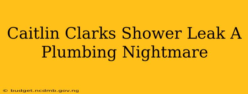 Caitlin Clarks Shower Leak A Plumbing Nightmare