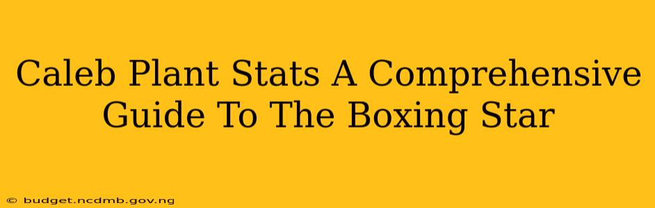 Caleb Plant Stats A Comprehensive Guide To The Boxing Star