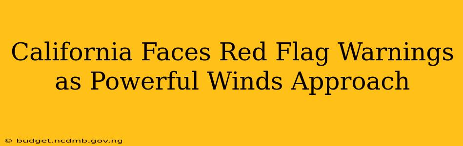 California Faces Red Flag Warnings as Powerful Winds Approach