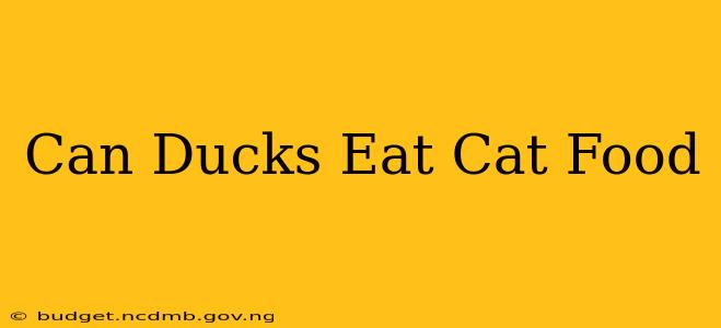 Can Ducks Eat Cat Food