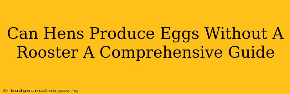 Can Hens Produce Eggs Without A Rooster A Comprehensive Guide