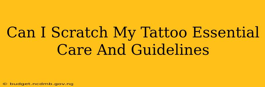 Can I Scratch My Tattoo Essential Care And Guidelines