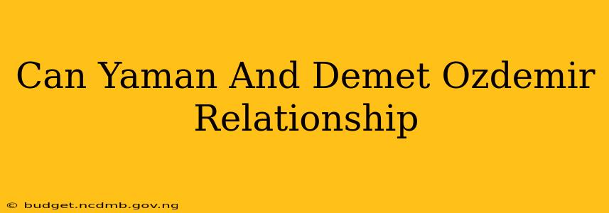 Can Yaman And Demet Ozdemir Relationship