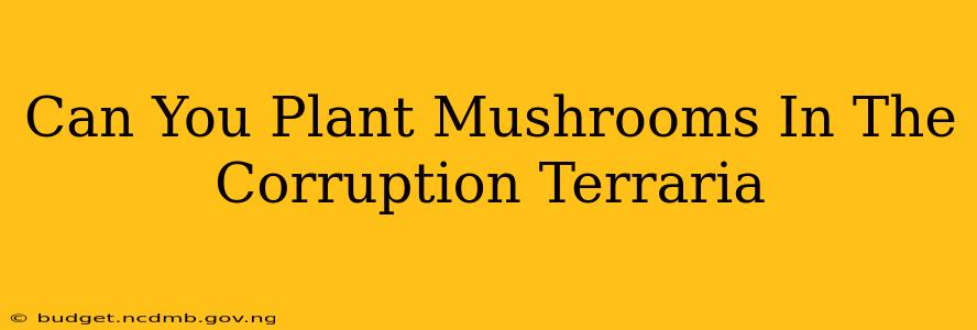 Can You Plant Mushrooms In The Corruption Terraria