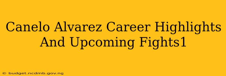 Canelo Alvarez Career Highlights And Upcoming Fights1
