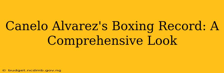 Canelo Alvarez's Boxing Record: A Comprehensive Look