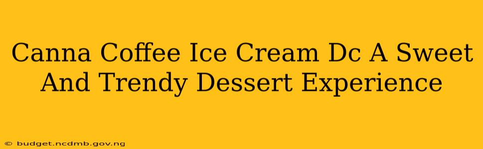 Canna Coffee Ice Cream Dc A Sweet And Trendy Dessert Experience