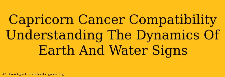 Capricorn Cancer Compatibility Understanding The Dynamics Of Earth And Water Signs